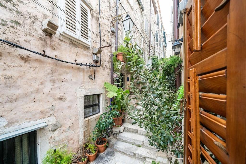 Apartment Plaza In The Centre Dubrovnik